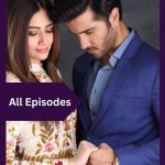 Shiddat Novel By Meerab Hayat Complete All Episodes