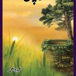 Dana Pani Novel By Umera Ahmed