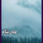 27th December Novel By Ali Shah