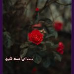 Mata Un Qaleel Novel By Bint E Ahmed