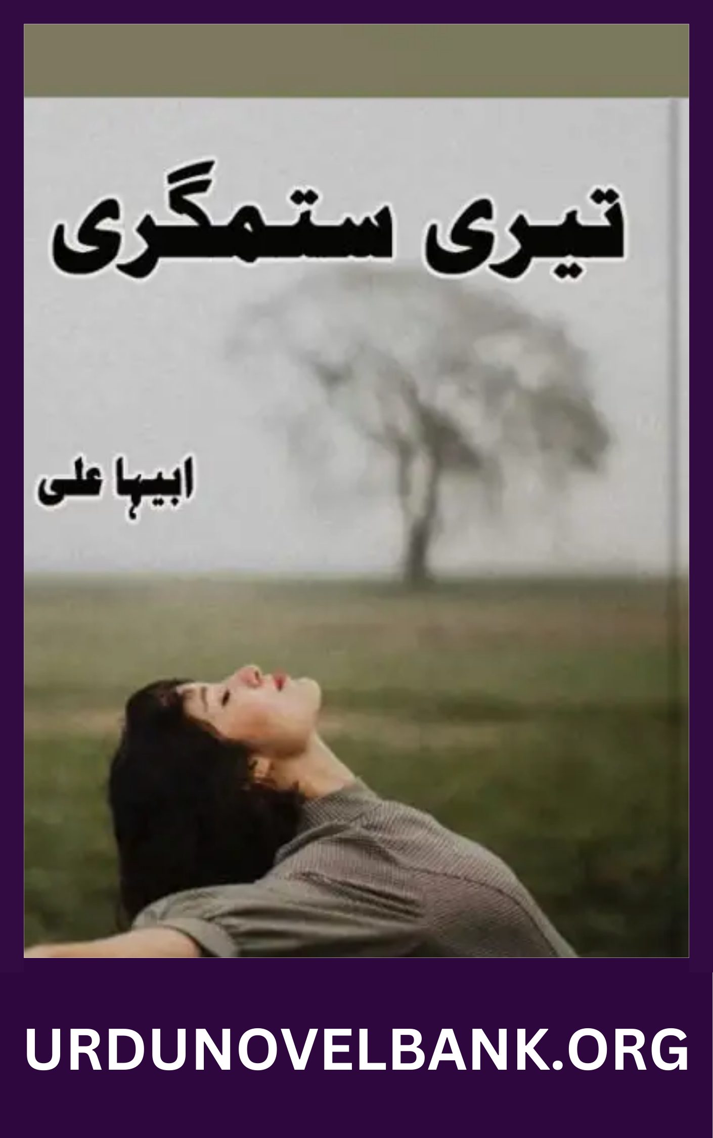 Teri Sitamgari Novel By Abeeha Ali