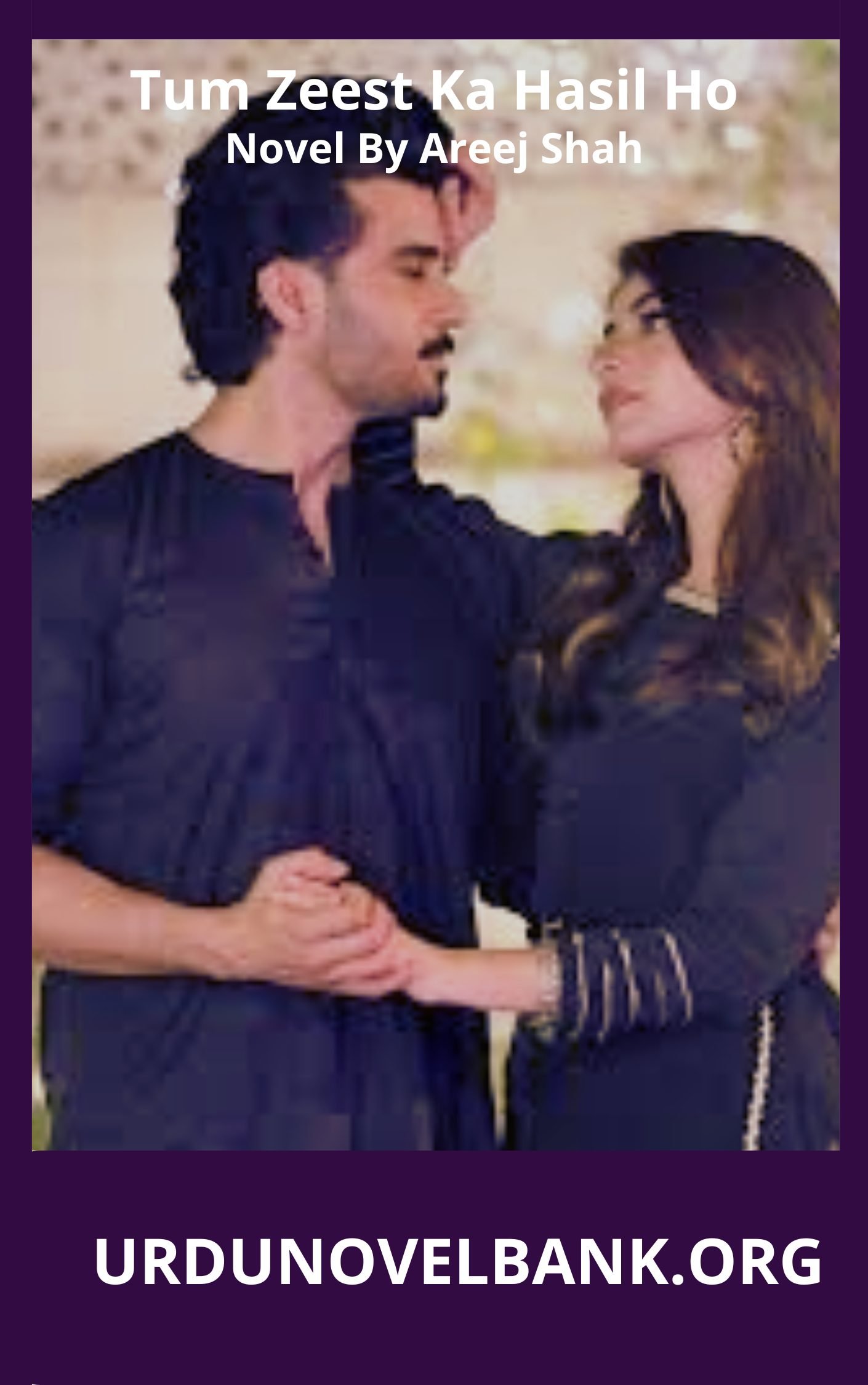 Tum Zeest Ka Hasil Ho Novel By Areej Shah