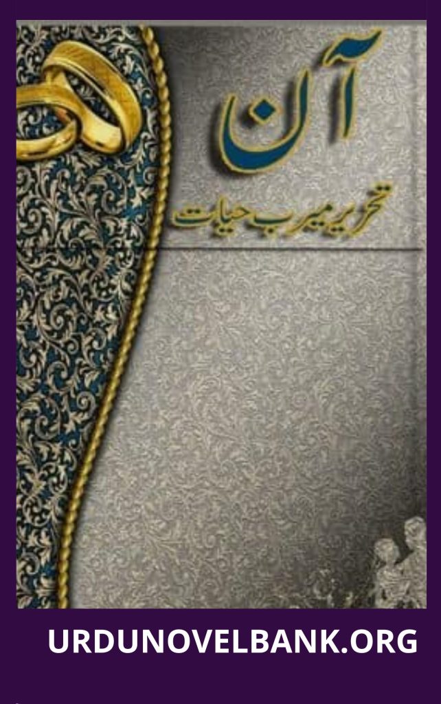 Aan Novel By Meerab Hayat