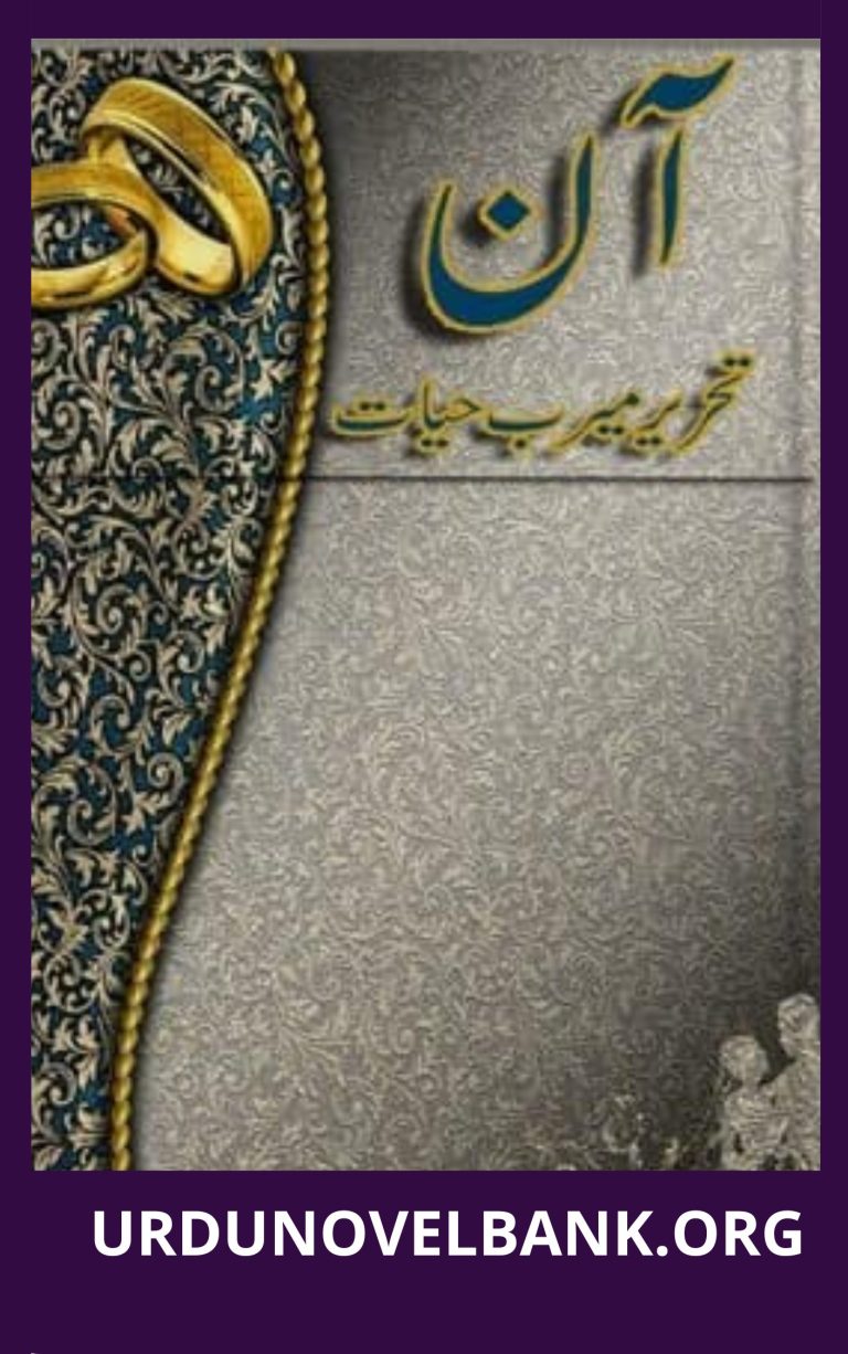 Aan Novel By Meerab Hayat
