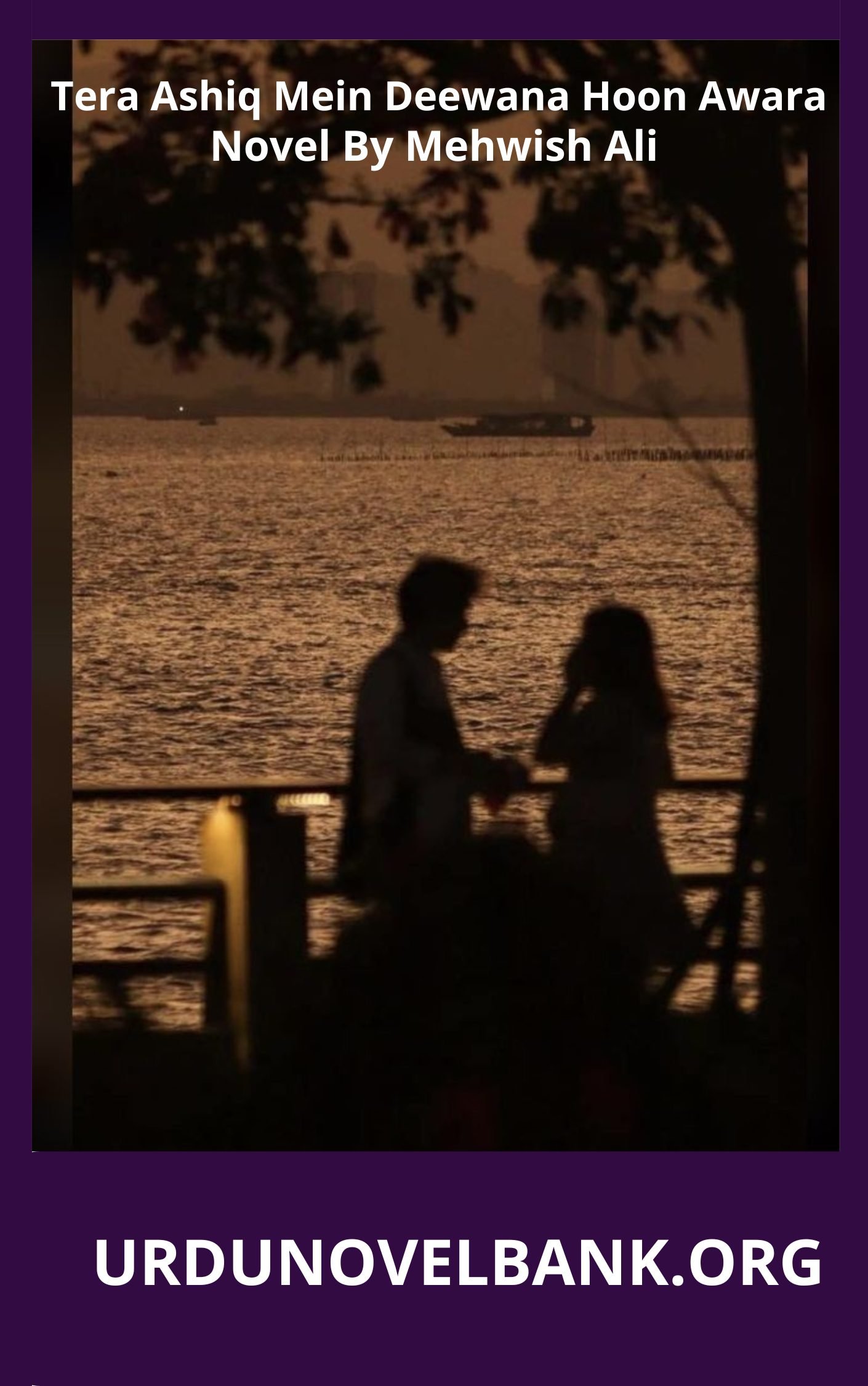 Tera Ashiq Mein Deewana Hoon Awara Novel By Mehwish Ali