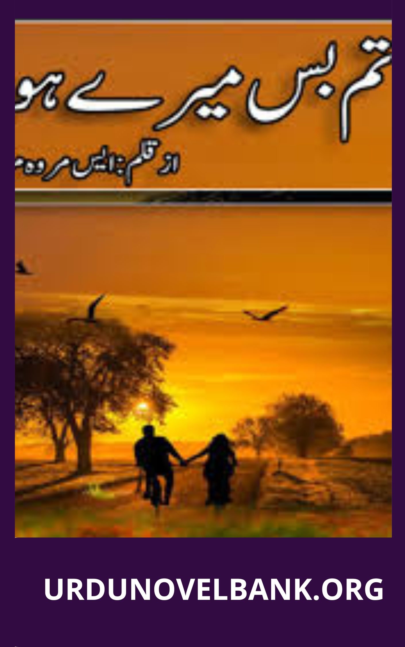 Tum Bas Mere Ho Novel By S Merwa Mirza