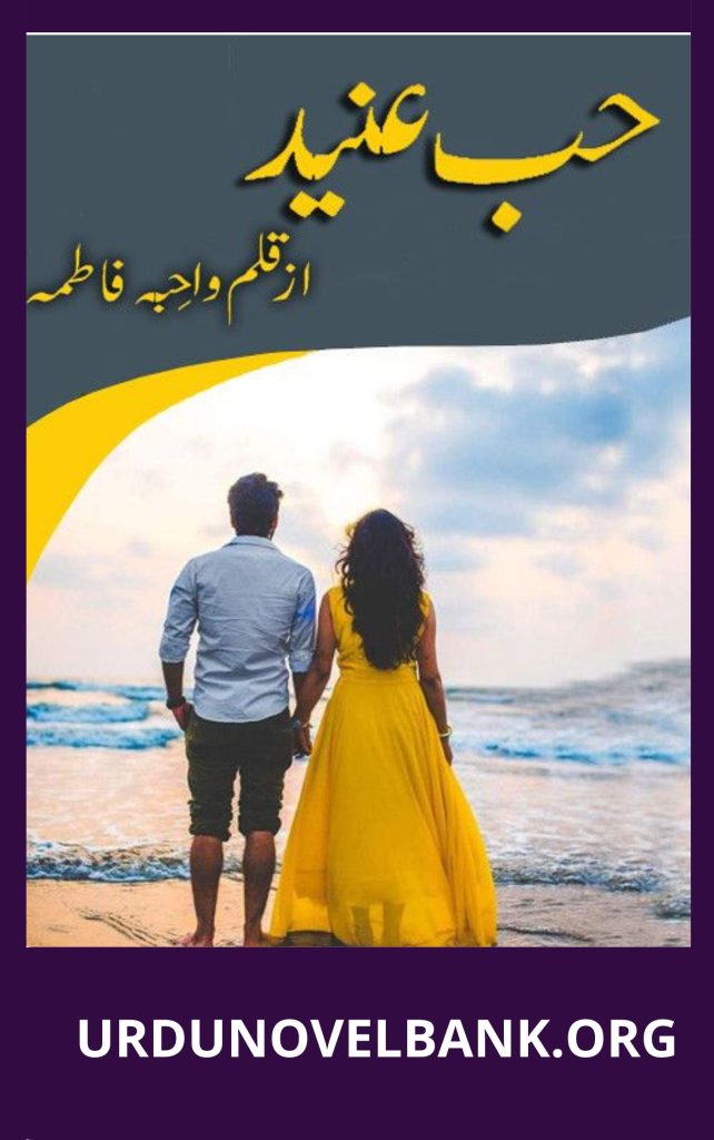 Hubb E Aneed Novel By Wahiba Fatima