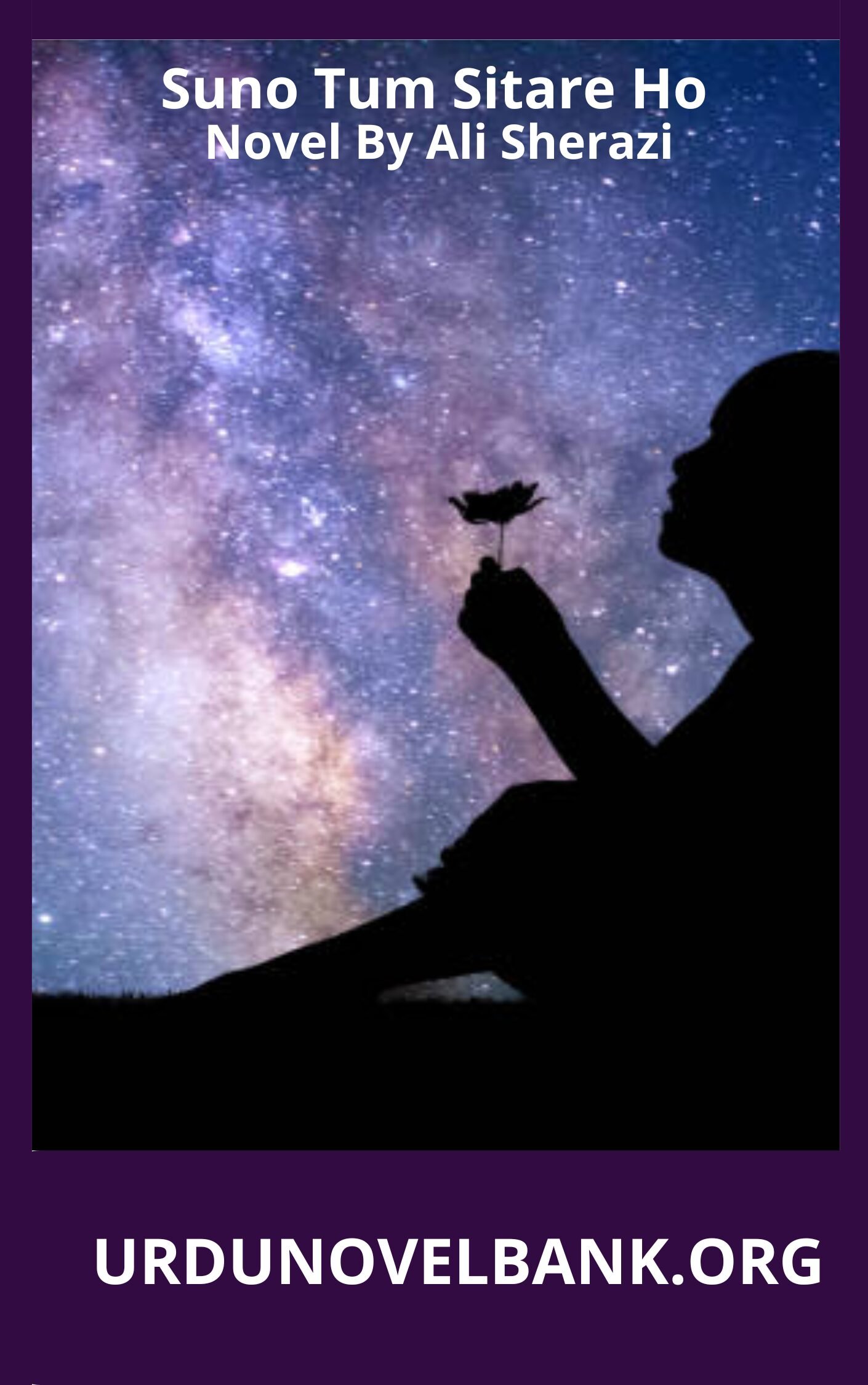 Suno Tum Sitare Ho Novel By Ali Sherazi