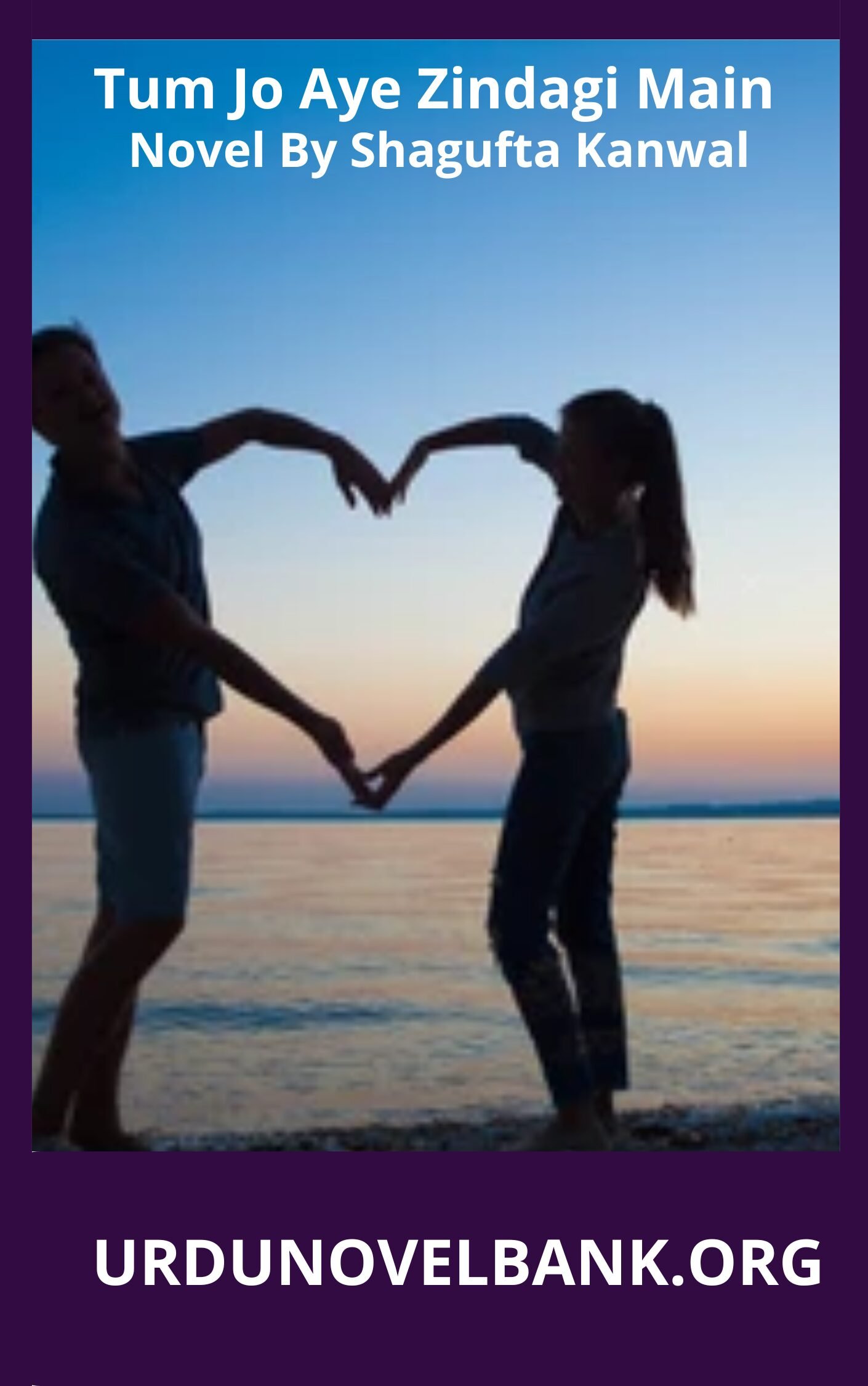 Tum Jo Aye Zindagi Main Novel By Shagufta Kanwal Season 1 and 2