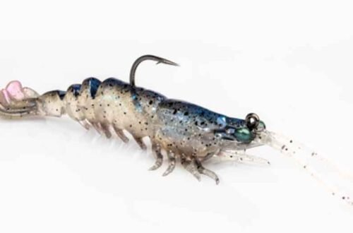 Discovering-Zman-Shrimp-The-Ultimate-Soft-Plastic-Lure-for-Every-Angler