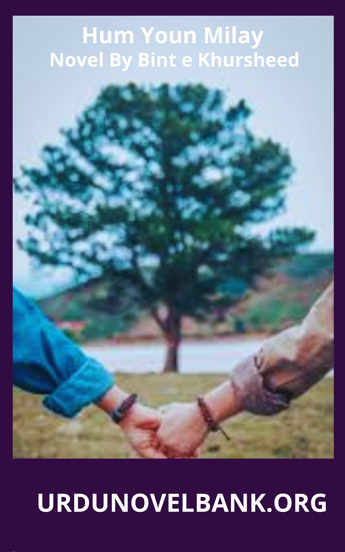 Hum Youn Milay Novel By Bint e Khursheed