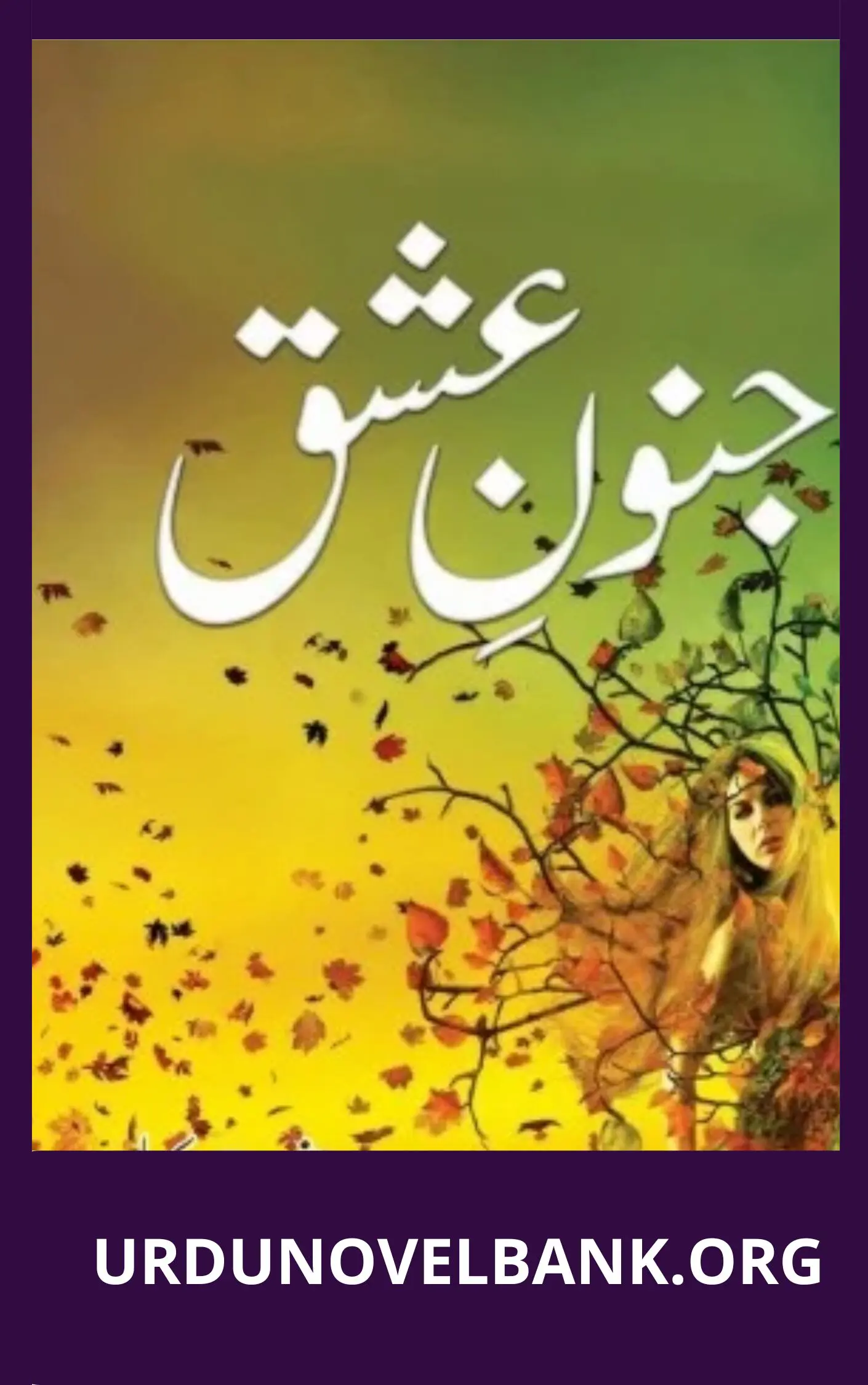 Junoon Ishq Novel By Aman Chaudhary