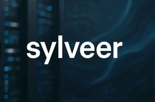 Sylveer: The Complete Guide to Understanding This Fast-Growing Digital Term 7 Sylveer