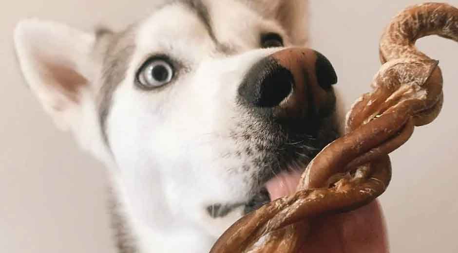 The-Surprising-Rise-of-Lamb-Pizzle-A-Natural-Treat-Making-Its-Way-Into-Modern-Pet-Care