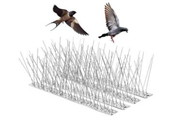 Bird Spikes Dubai: The Eco-Friendly Bird Deterrent