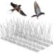 Bird Spikes Dubai: The Eco-Friendly Bird Deterrent
