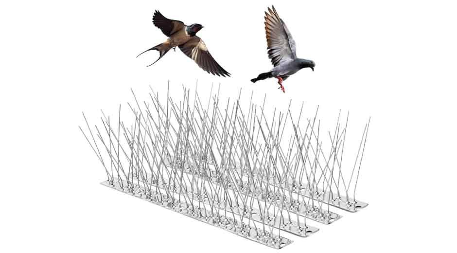 Bird Spikes Dubai: The Eco-Friendly Bird Deterrent