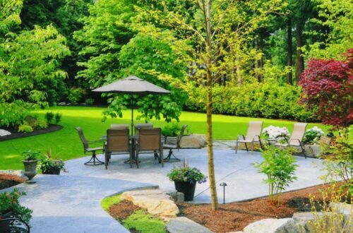 Sustainable Landscaping Ideas for Low-Maintenance Backyards 6 Sustainable Landscaping Ideas for Low-Maintenance Backyards