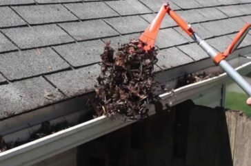 The Importance of Regular Gutter Cleaning and Maintenance