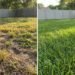 how-to-fix-patchy-lawn-1