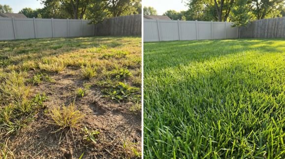 How to Fix Patchy Lawn 1 how-to-fix-patchy-lawn-1
