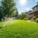 how-to-keep-grass-green-in-summer-without-overwate-1